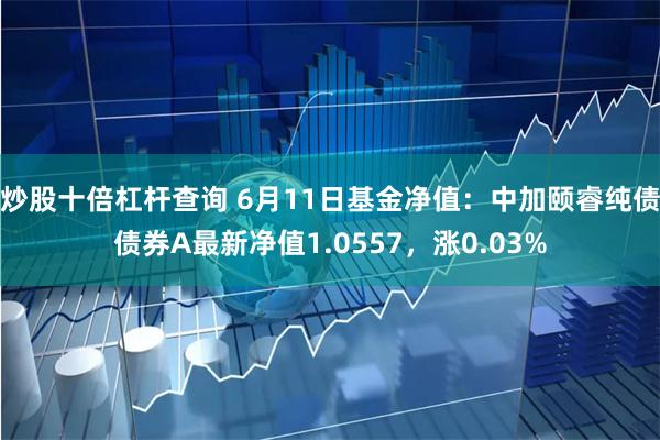 炒股十倍杠杆查询 6月11日基金净值：中加颐睿纯债债券A最新净值1.0557，涨0.03%