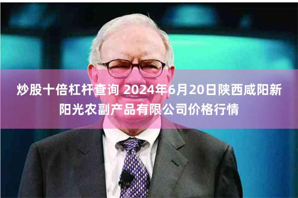 炒股十倍杠杆查询 2024年6月20日陕西咸阳新阳光农副产品有限公司价格行情