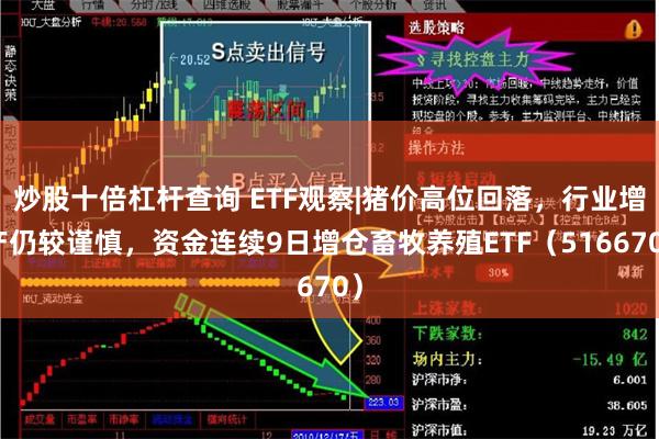 炒股十倍杠杆查询 ETF观察|猪价高位回落，行业增产仍较谨慎，资金连续9日增仓畜牧养殖ETF（516670）